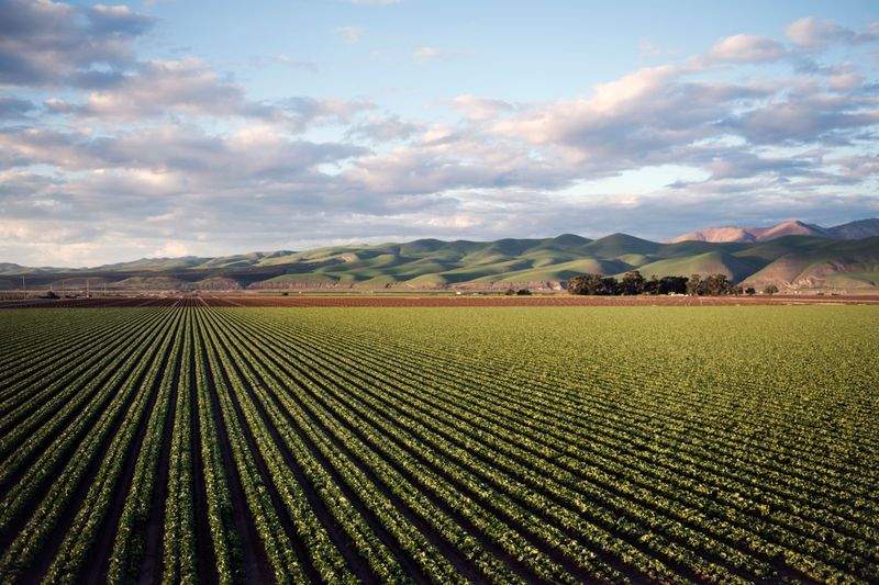 AgroValle Ibérico S.L.