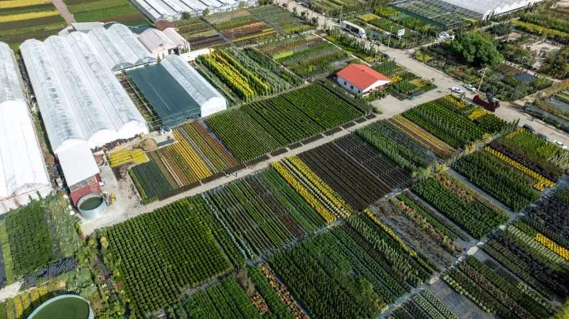 AgroValle Ibérico S.L.
