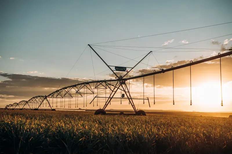 AgroValle Ibérico S.L. 14