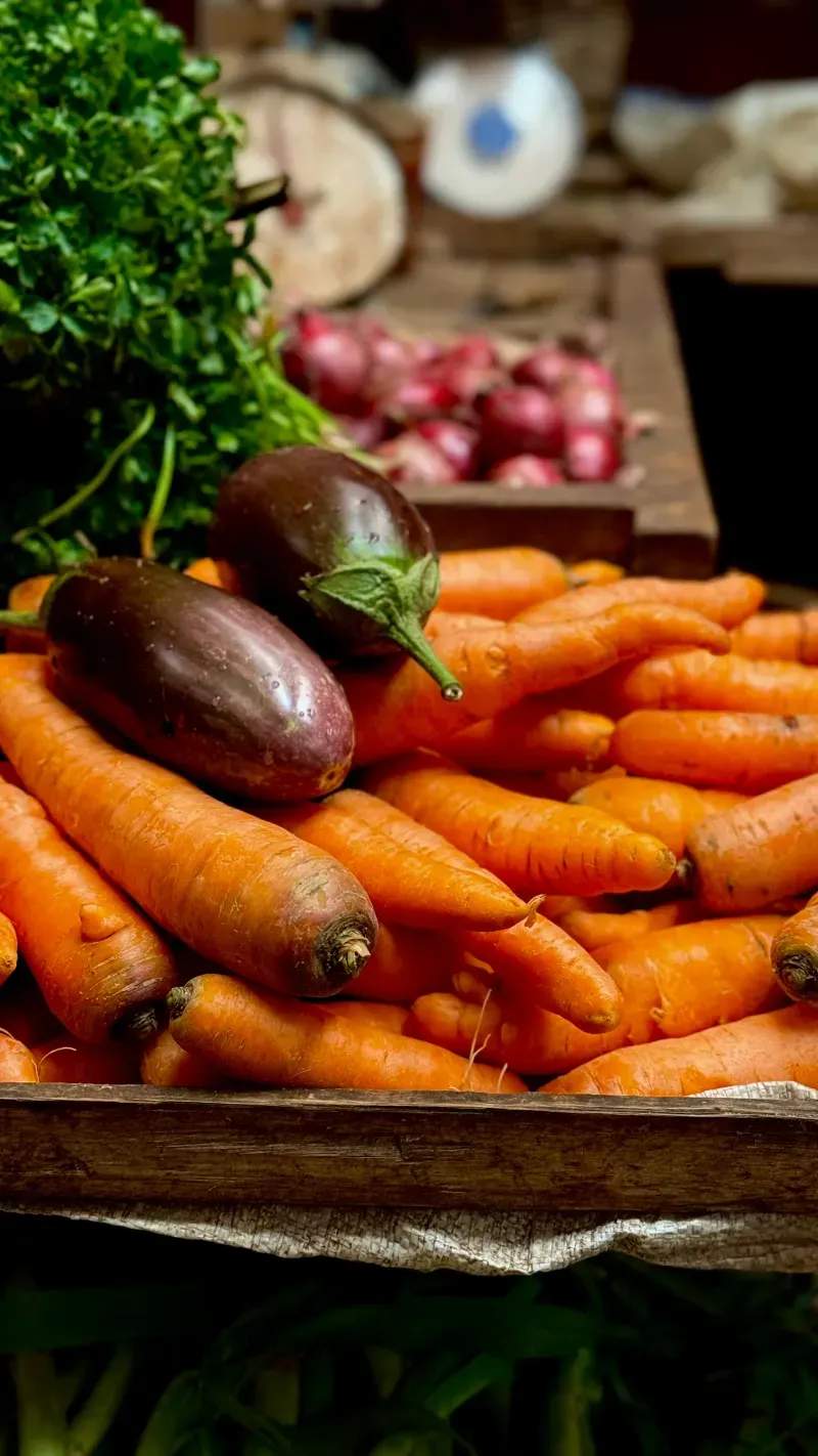 Recepción y clasificación de materias primas agrícolas