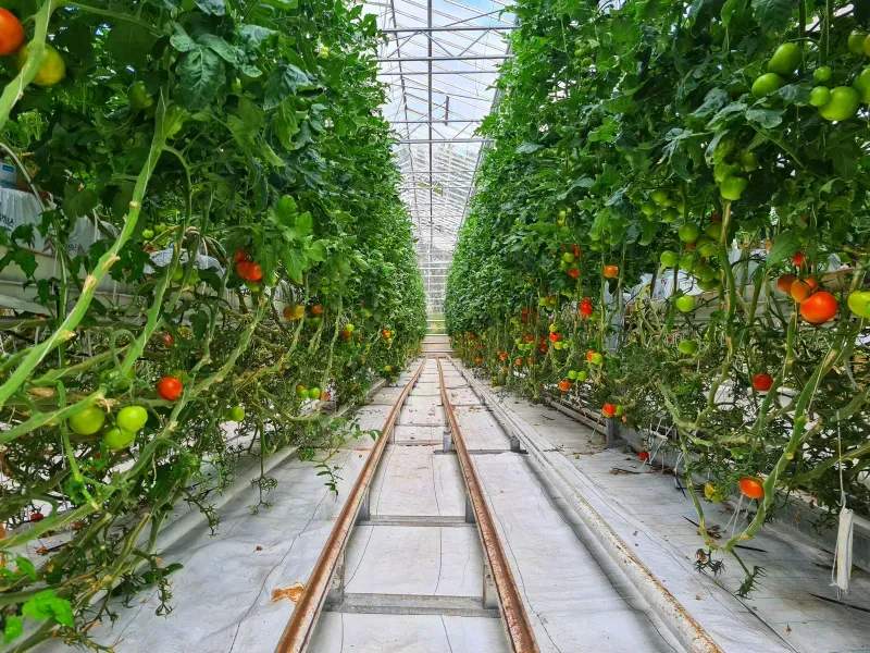 Control de calidad y trazabilidad alimentaria